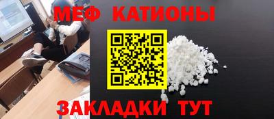шишки Заволжье