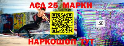 шишки Заволжье