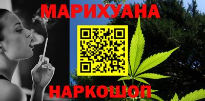 шишки Заволжье