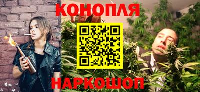 шишки Заволжье