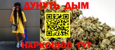 шишки Заволжье