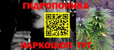 шишки Заволжье