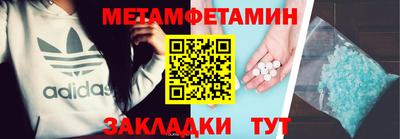 шишки Заволжье