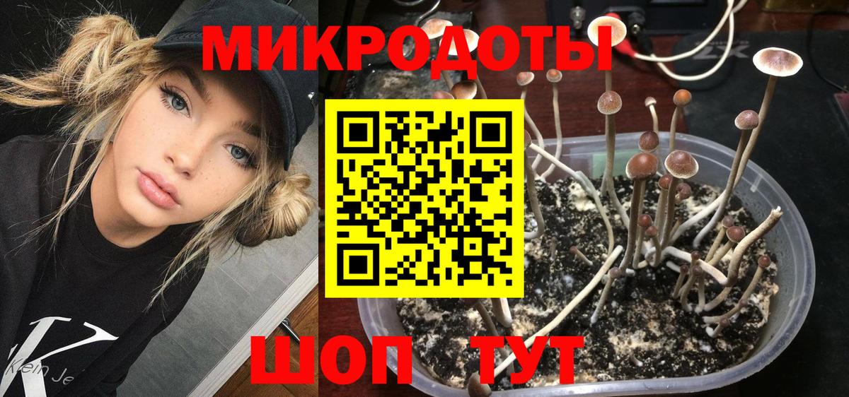Галлюциногенные грибы Psilocybine cubensis  Вход с VPN  Электросталь 